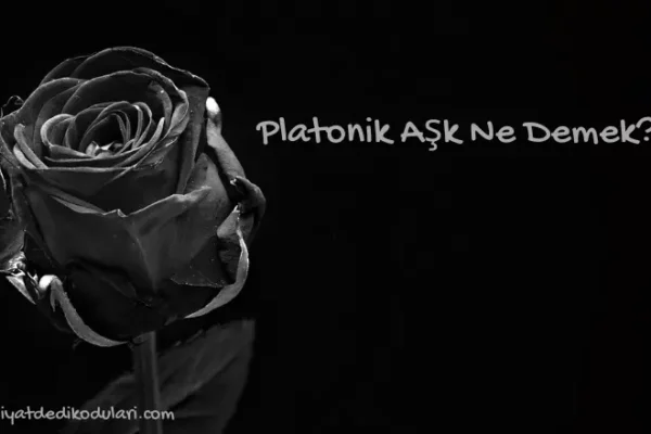 Platonik Aşk Ne Demek?
