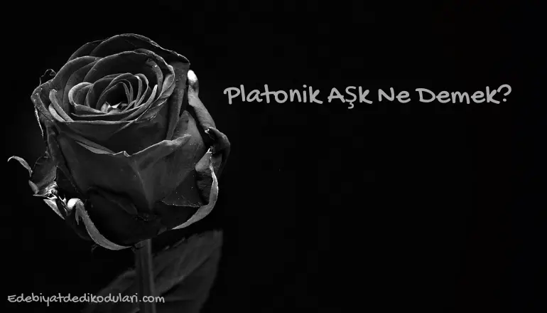 Platonik Aşk Ne Demek?